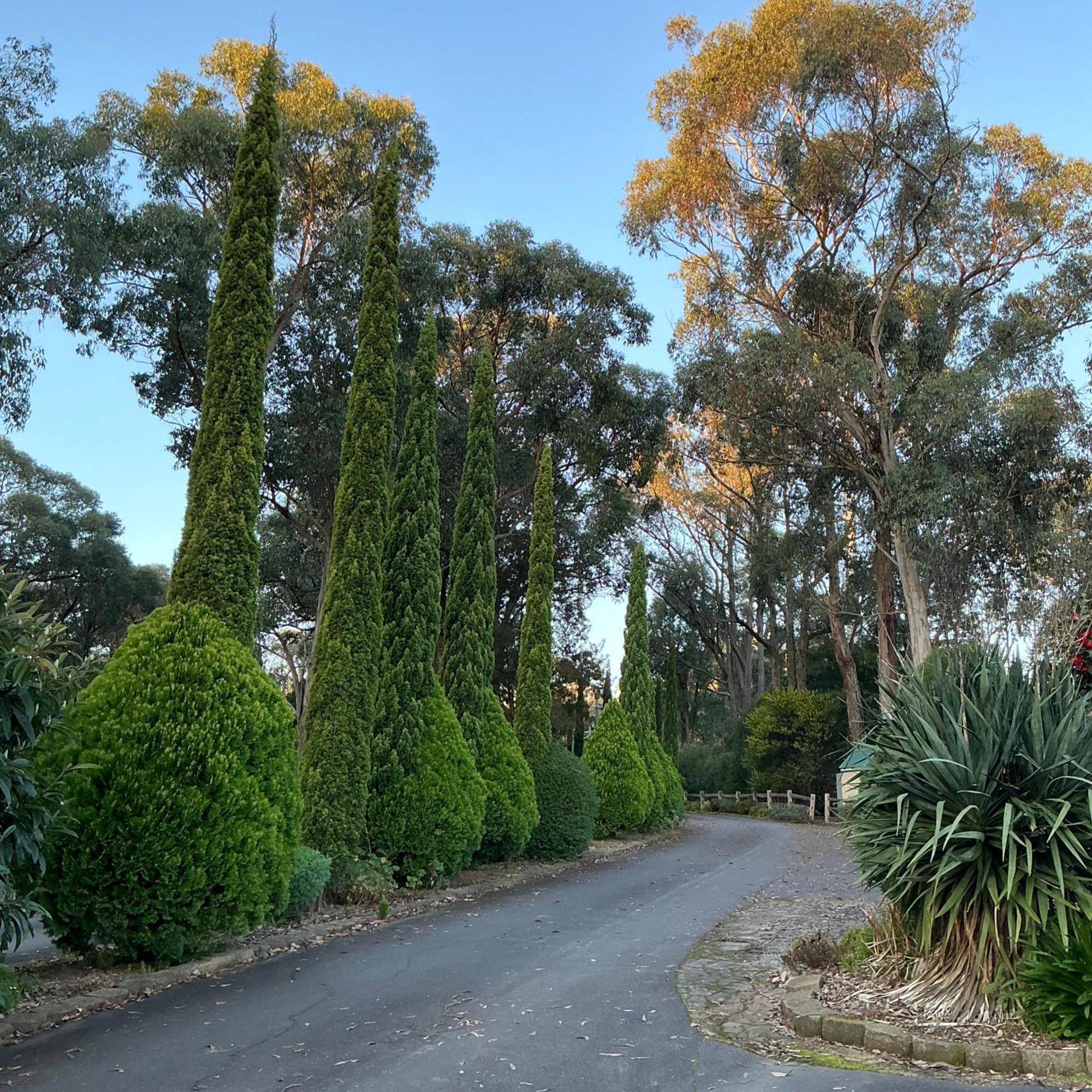 Sanctuary House Resort Motel Healesville Ngoại thất bức ảnh